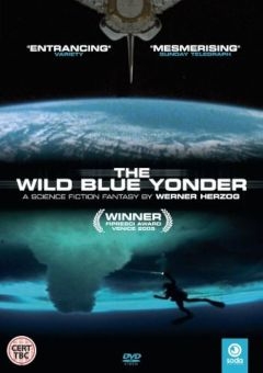 Далекая синяя высь (2005)