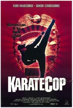 Полицейский-каратист (1991)