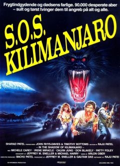 В тени Килиманджаро (1986)