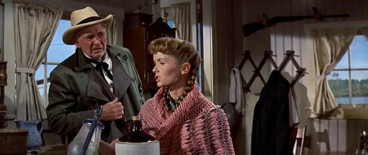 Фильм Тэмми и холостяк (1957)