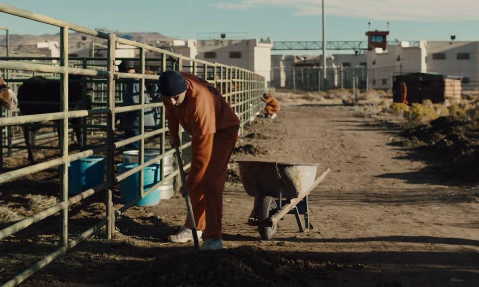 Фильм Мустанг (2017)