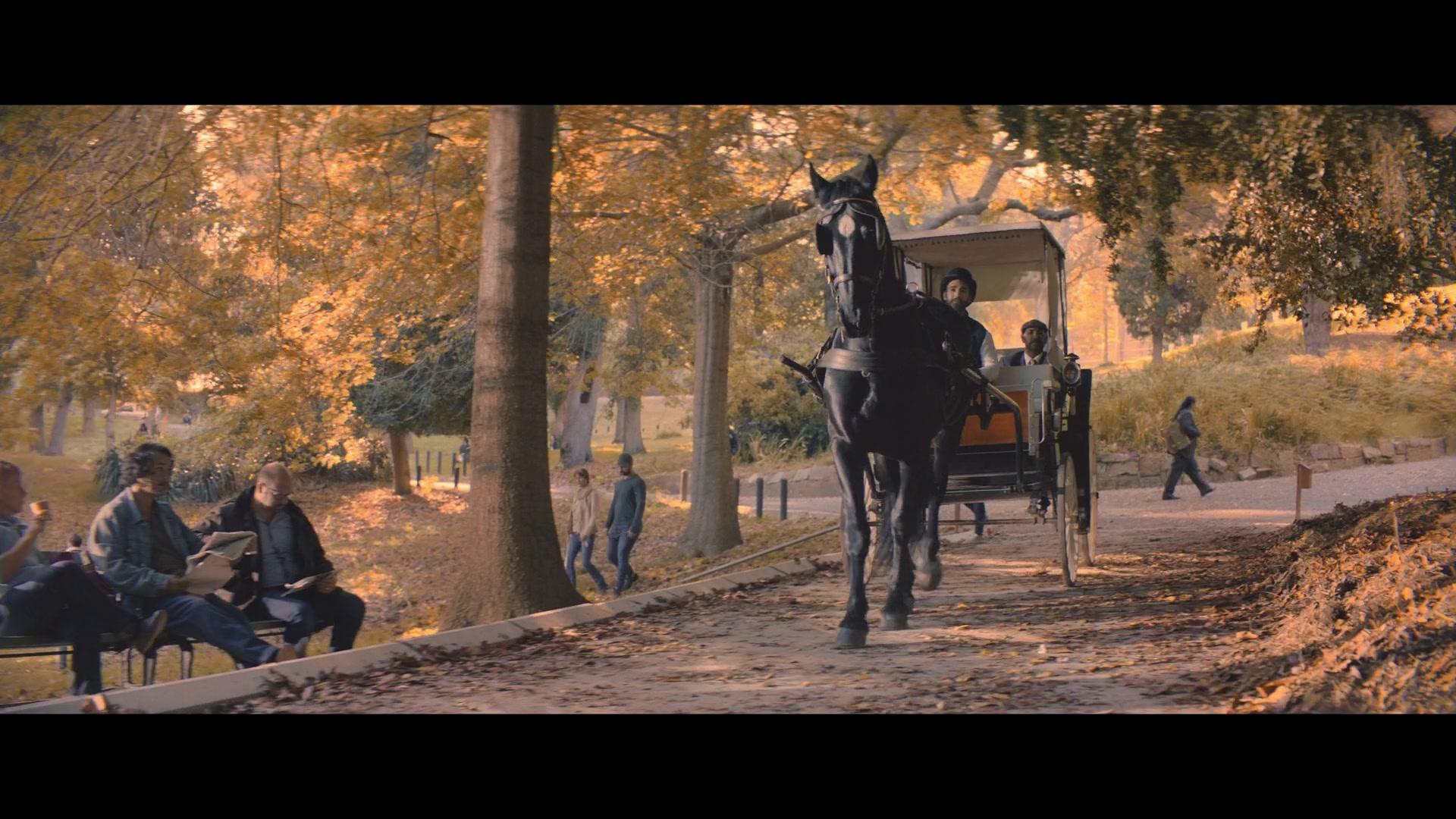 Фильм Чёрная Красавица (2020)