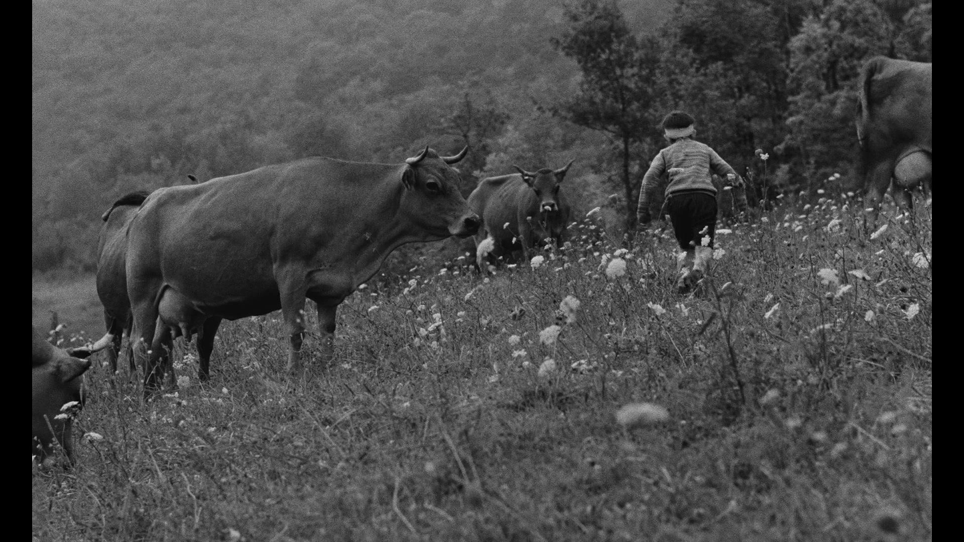 Фильм Старик и ребенок (1966)