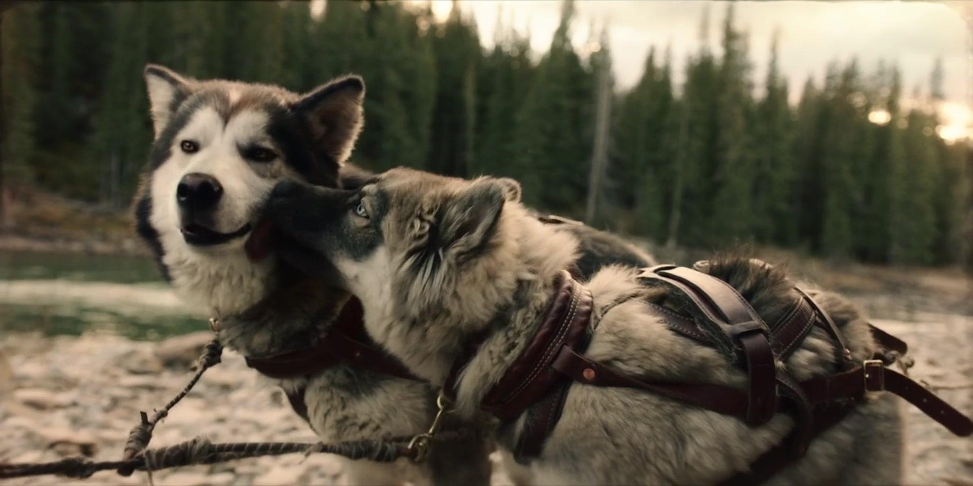 Фильм Того (2019)