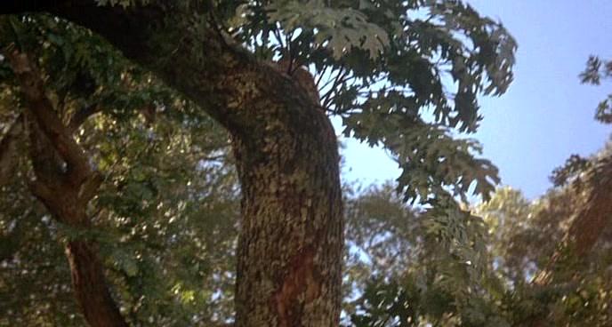 Фильм Сейчас и тогда (1995)