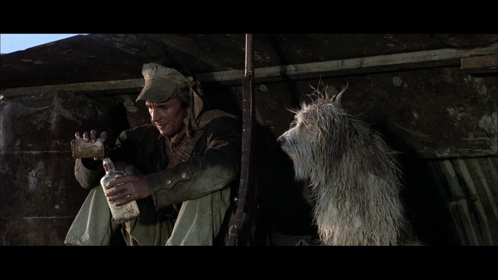 Фильм Парень и его пес (1974)