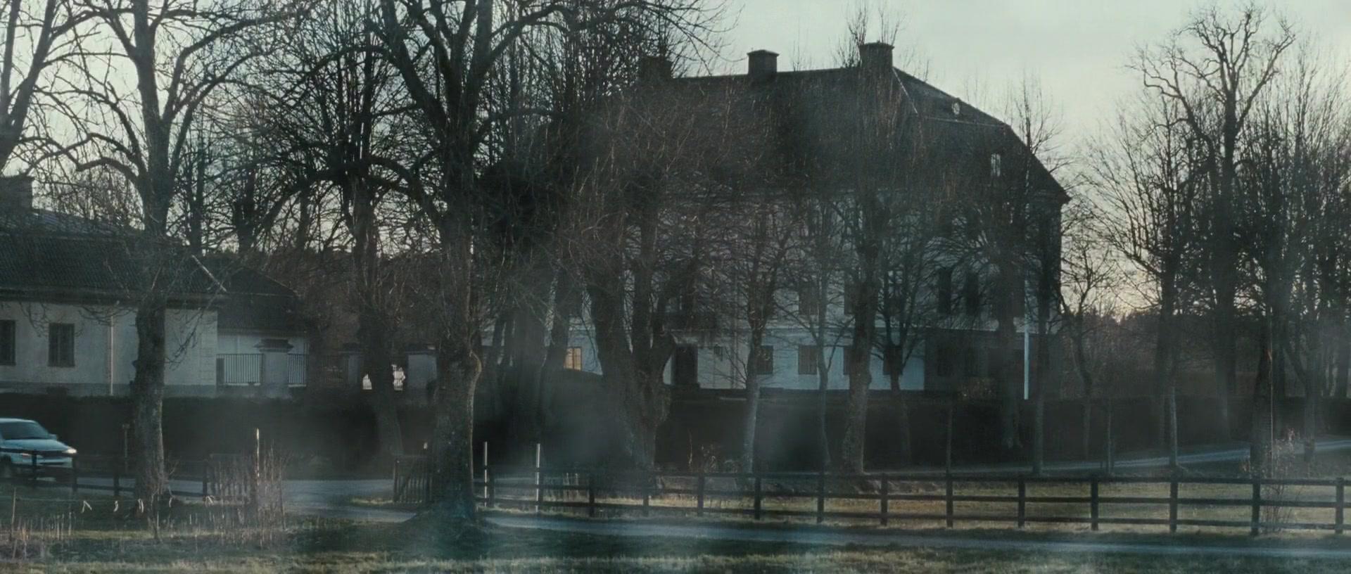 Фильм Девушка с татуировкой дракона (2009)