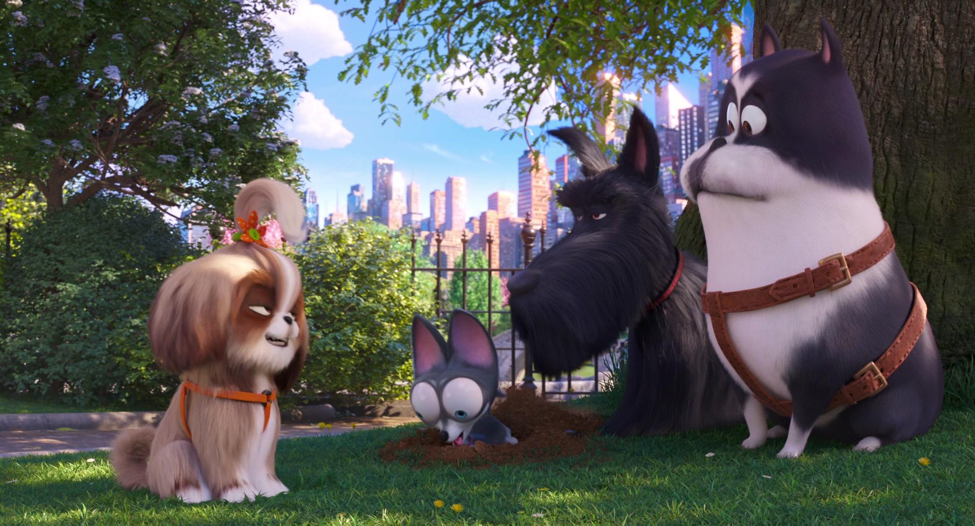 Фильм Тайная жизнь домашних животных 2 (2019)