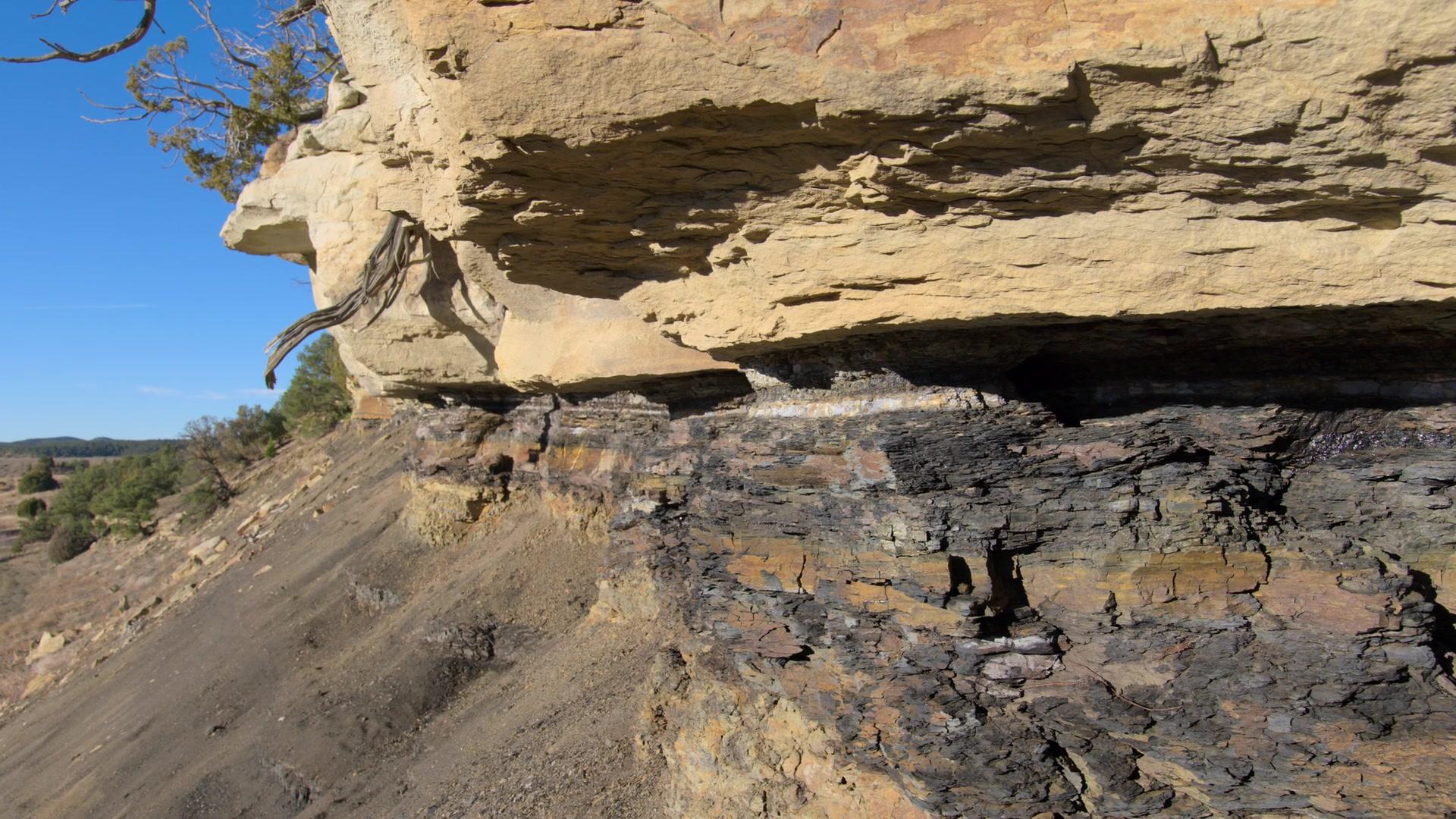 Фильм Дэвид Аттенборо: Жизнь на нашей планете (2020)