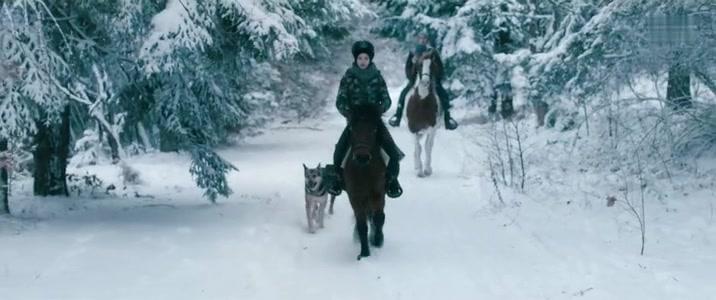Фильм Кровь пеликана (2019)