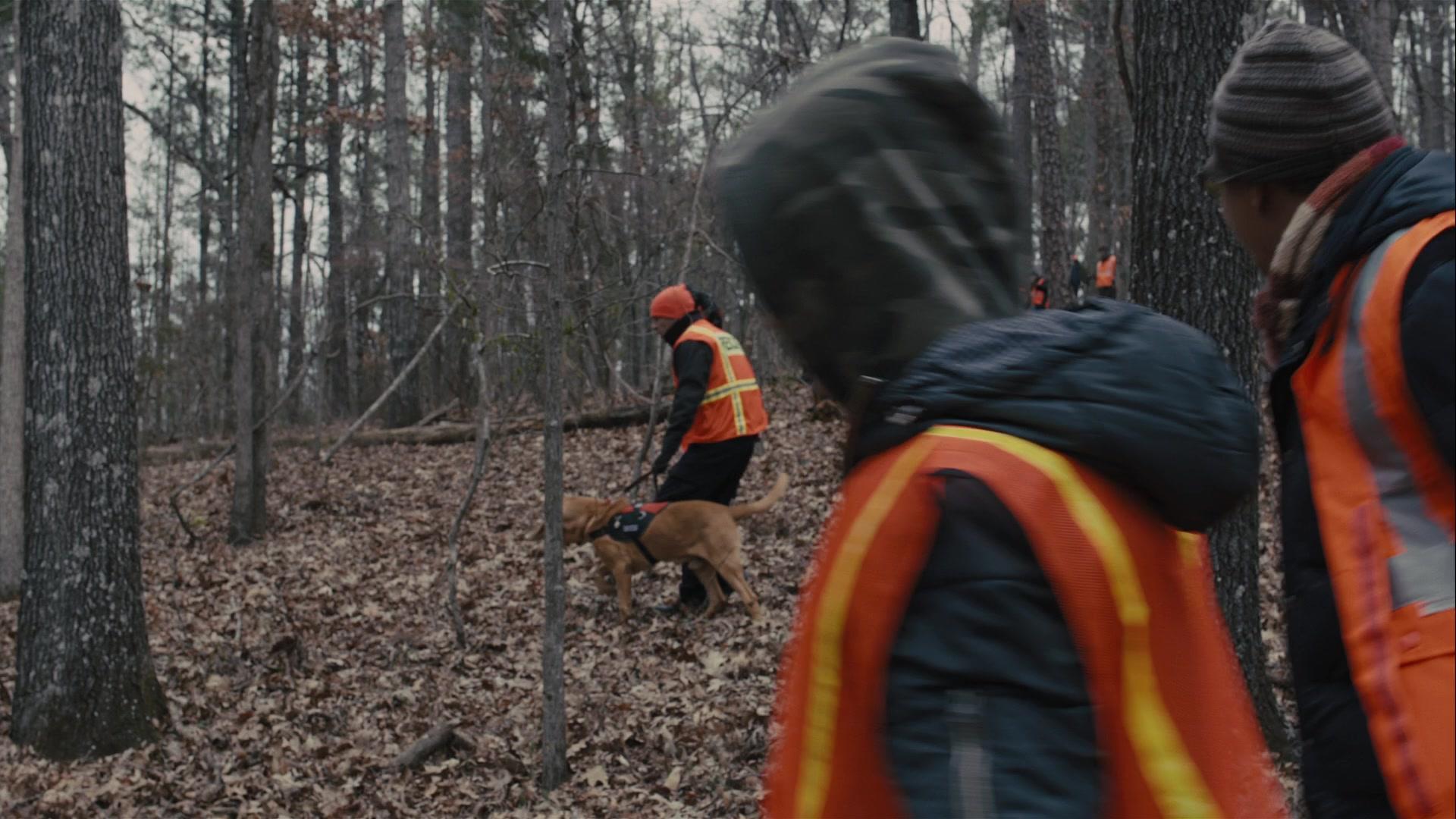 Фильм Пленницы (2013)