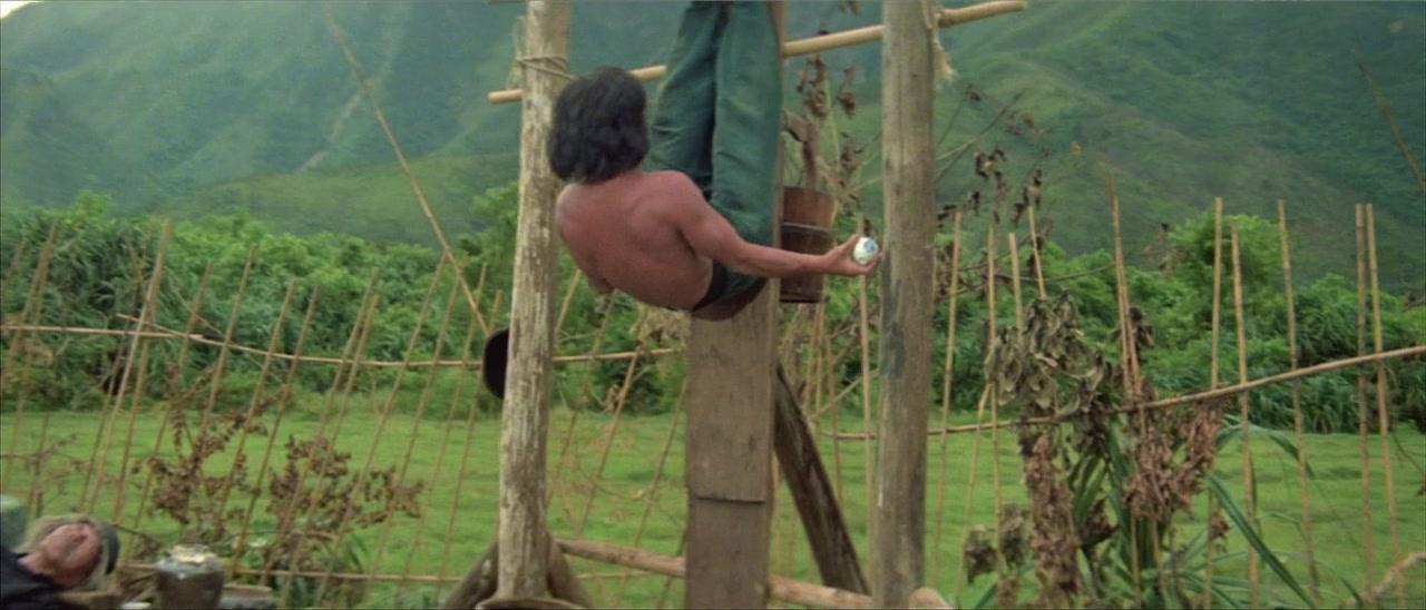 Фильм Пьяный мастер (1978)