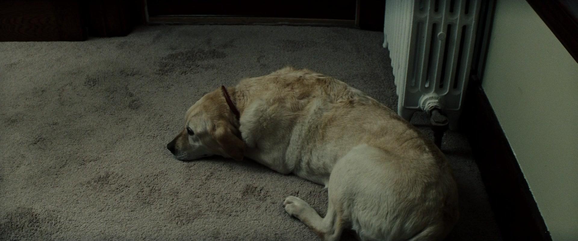 Фильм Гран Торино (2008)