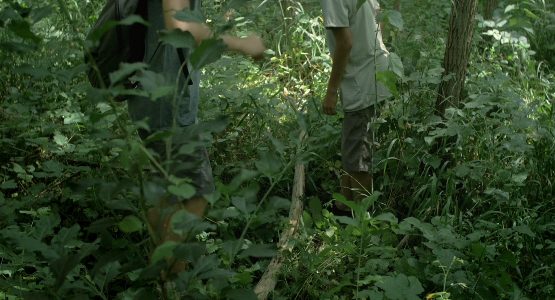 Фильм Неугомонные (2016)