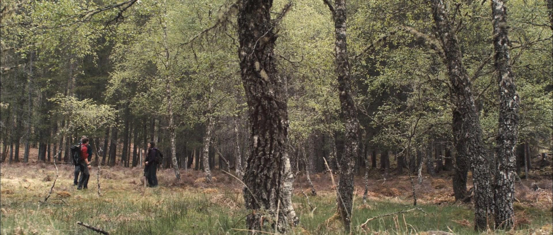 Фильм Похищенная (2011)
