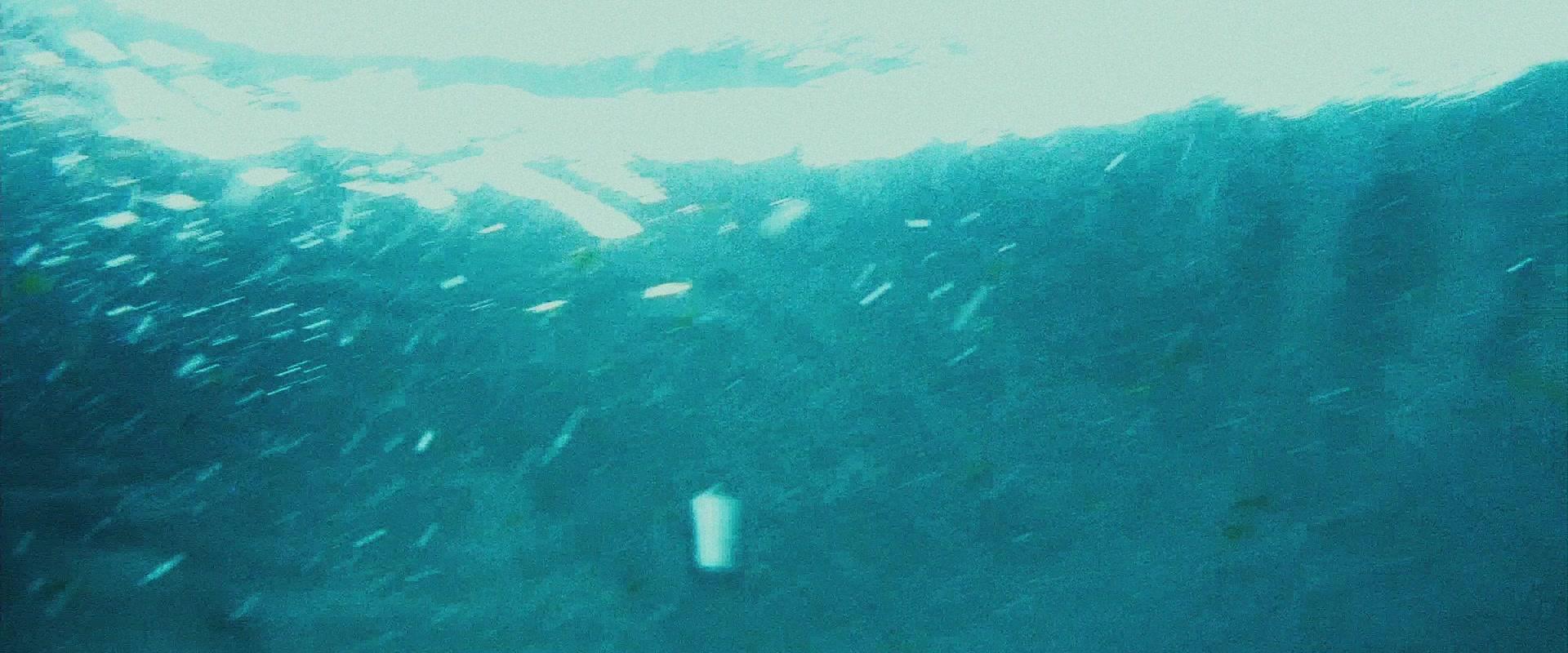 Фильм Ржавчина и кость (2012)