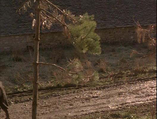 Фильм Полное затмение (1995)