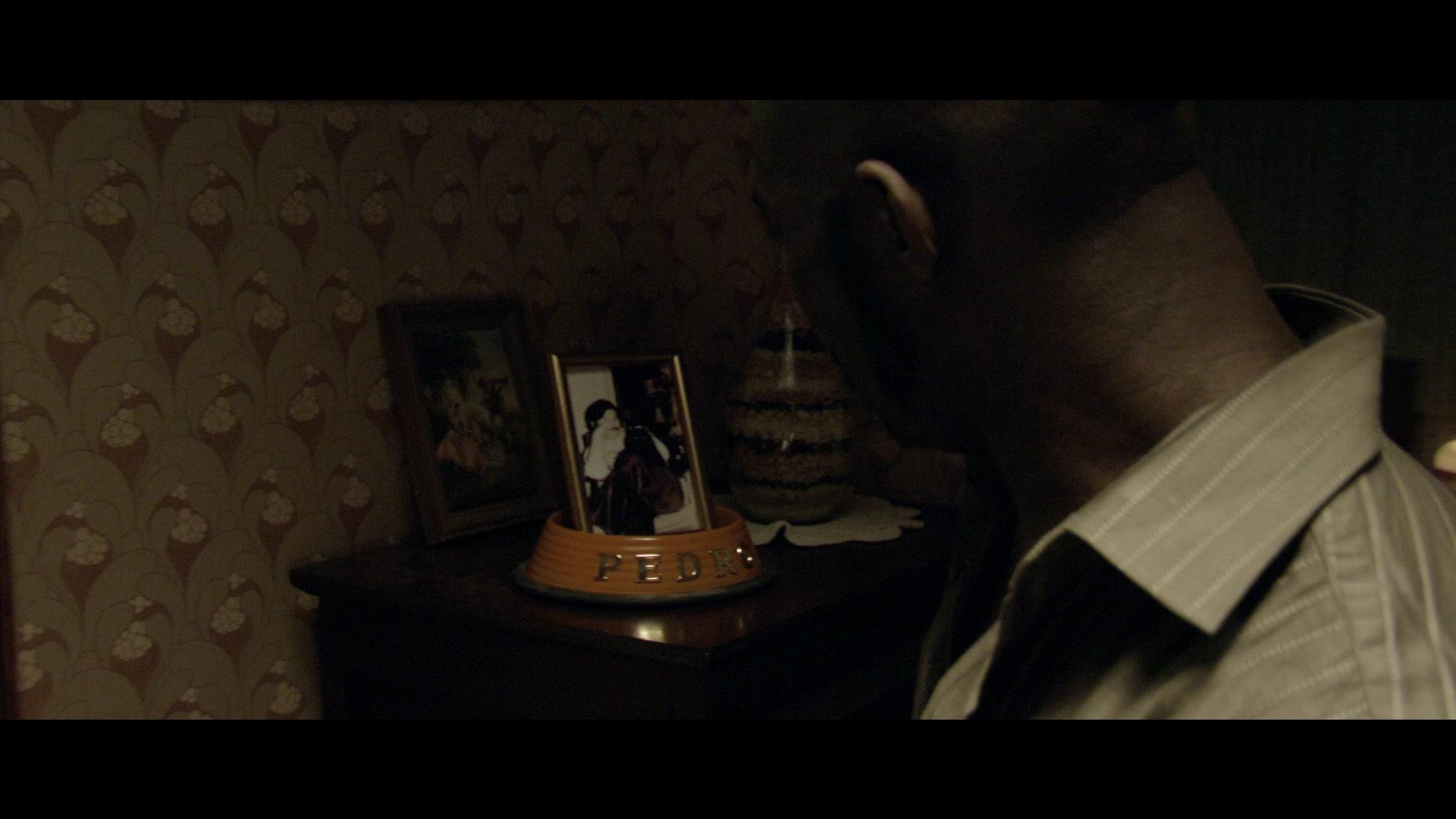Фильм Стая (2009)