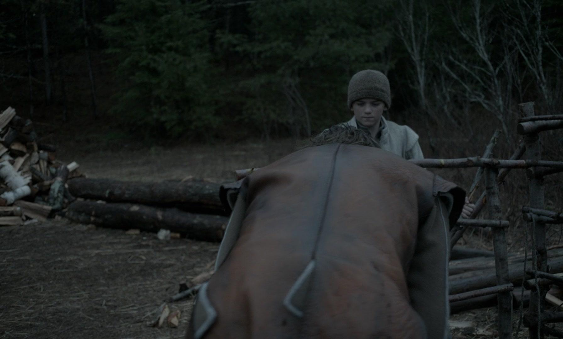 Фильм Ведьма (2015)