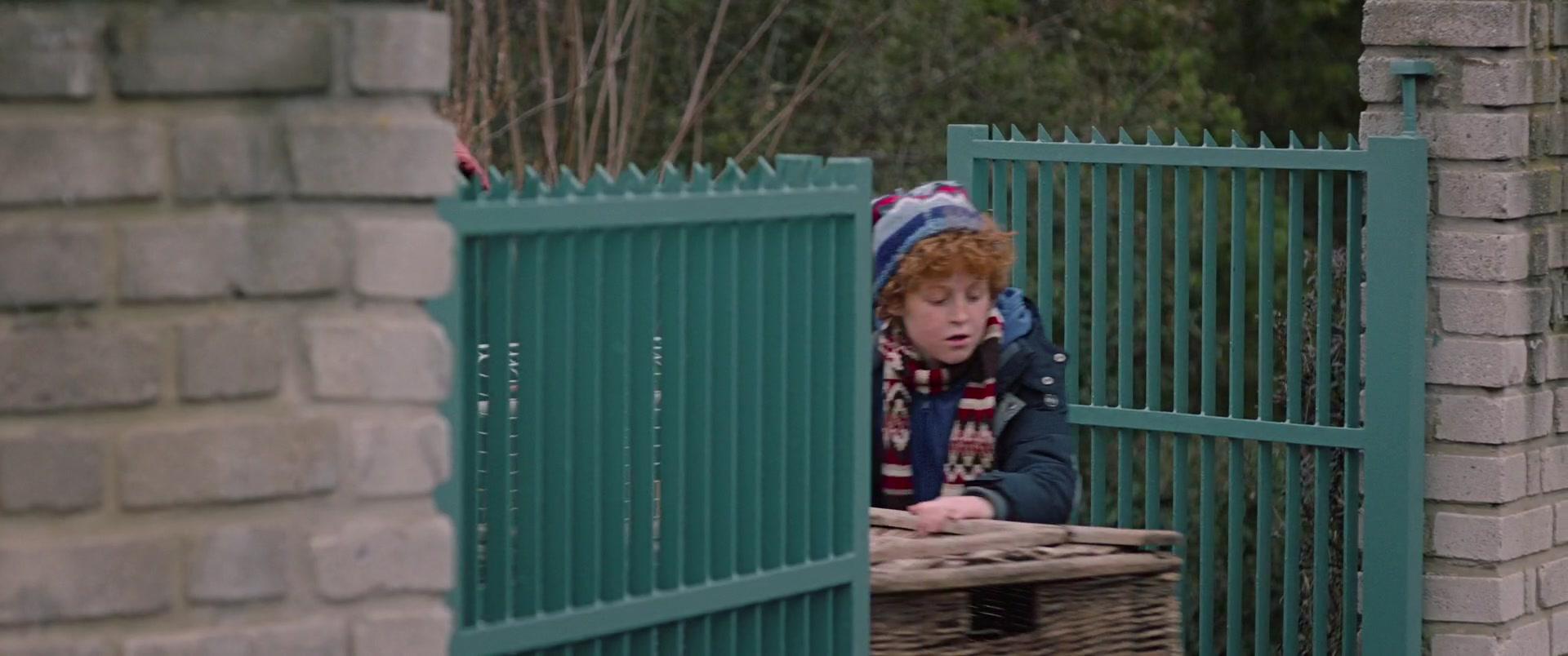 Фильм Приручить дракона (2020)