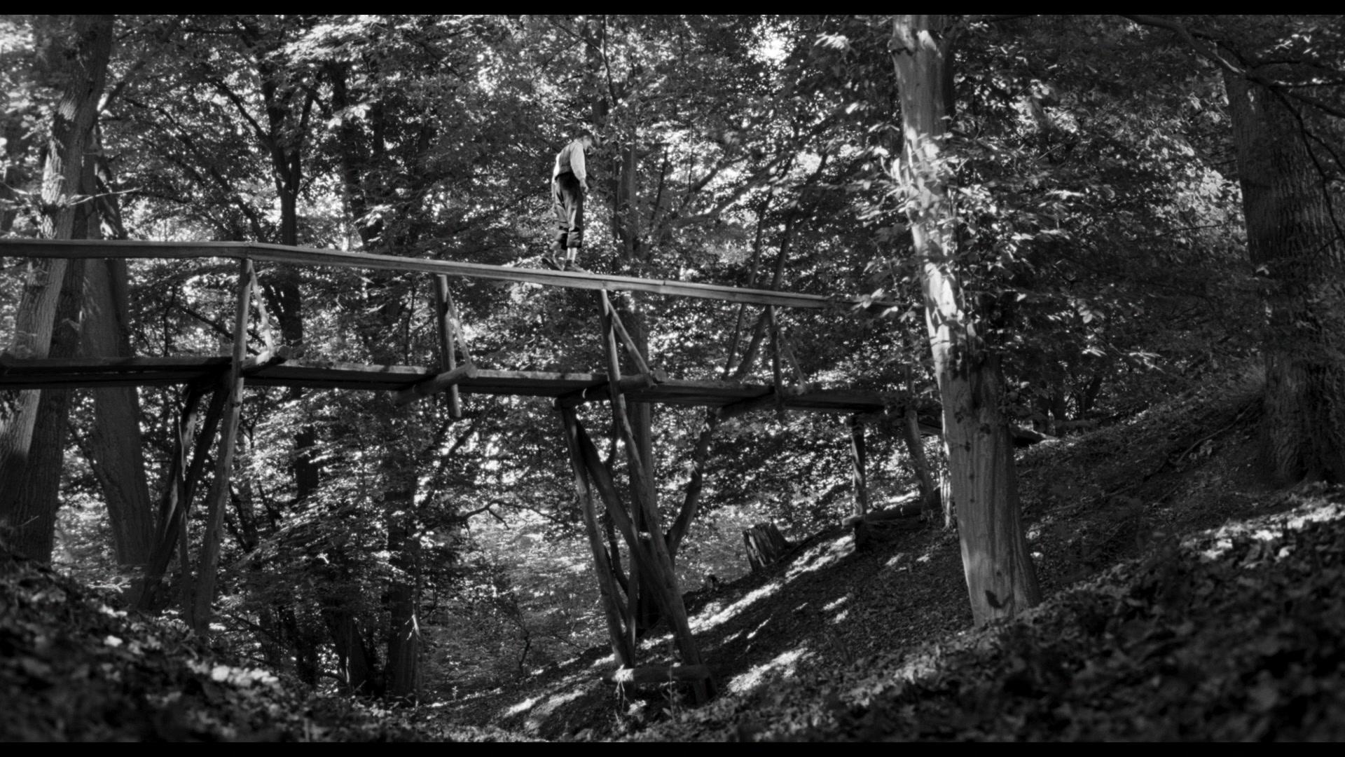 Фильм Белая лента (2009)