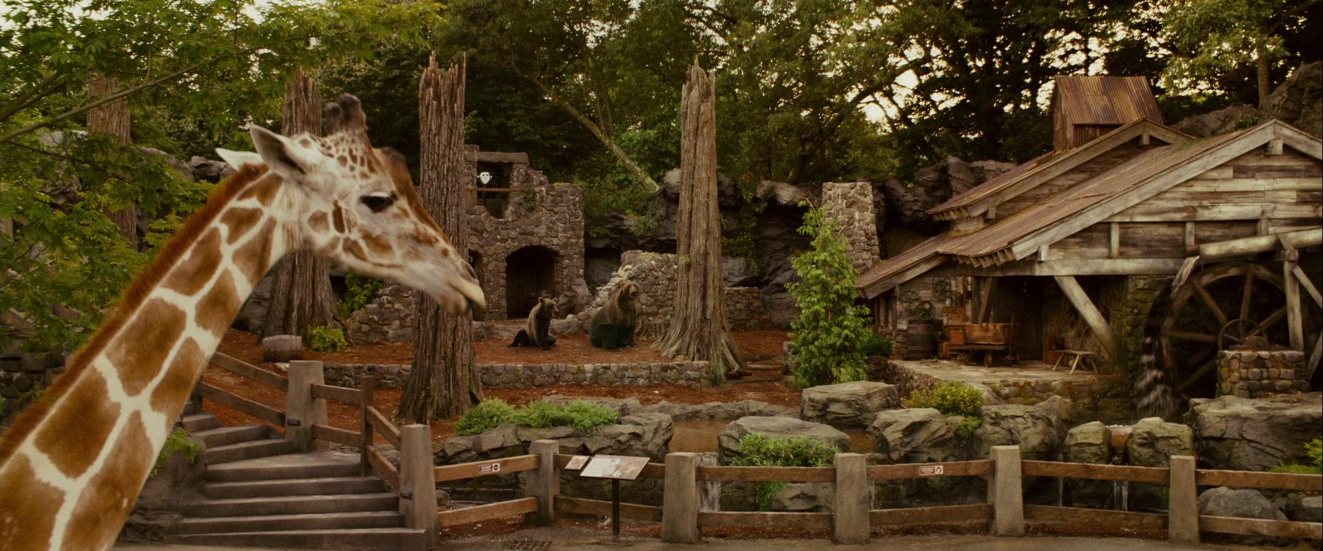 Фильм Мой парень из зоопарка (2011)