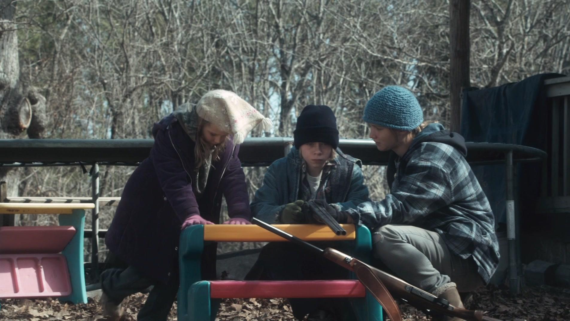 Фильм Зимняя кость (2010)