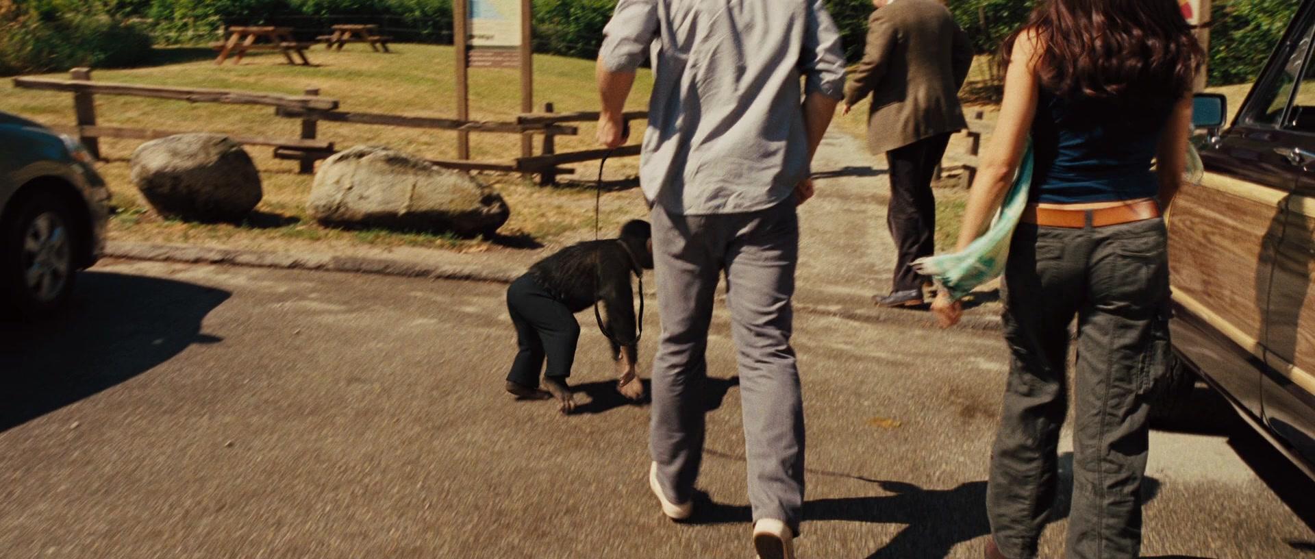 Фильм Восстание планеты обезьян (2011)