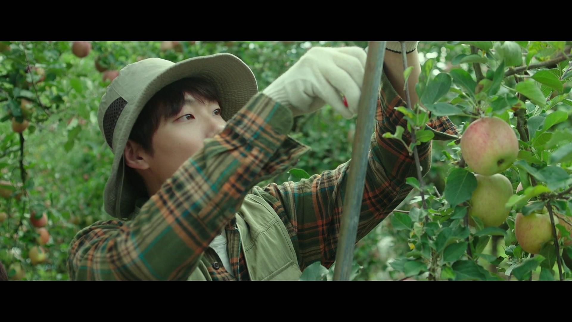 Фильм Маленький лес (2018)