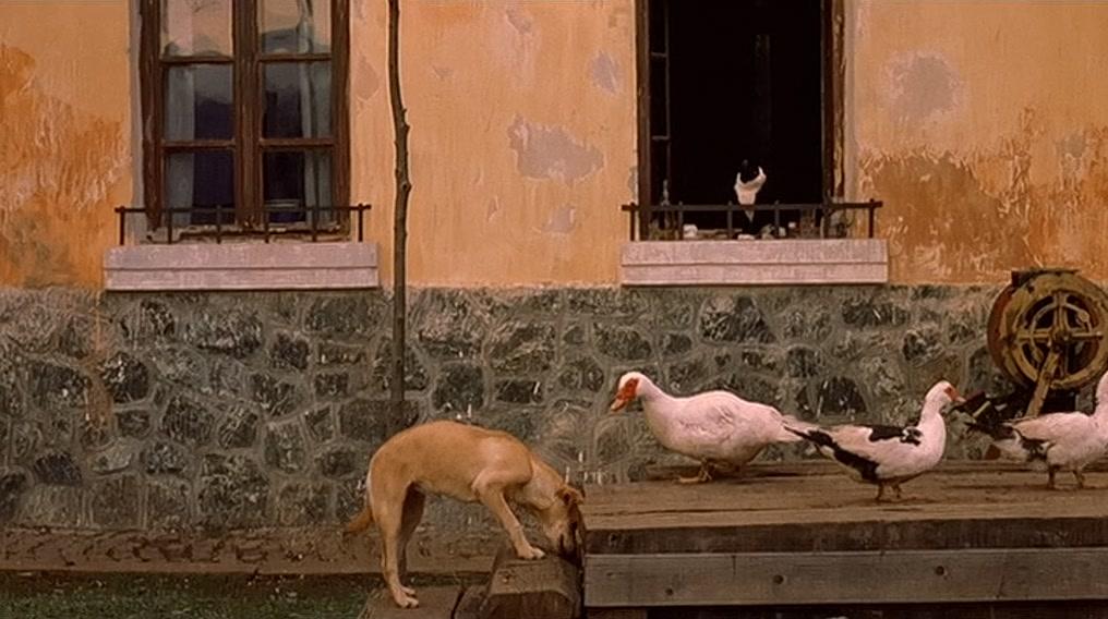 Фильм Жизнь как чудо (2004)