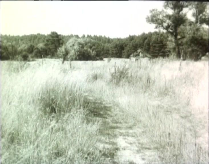 Фильм Голод-33 (1991)