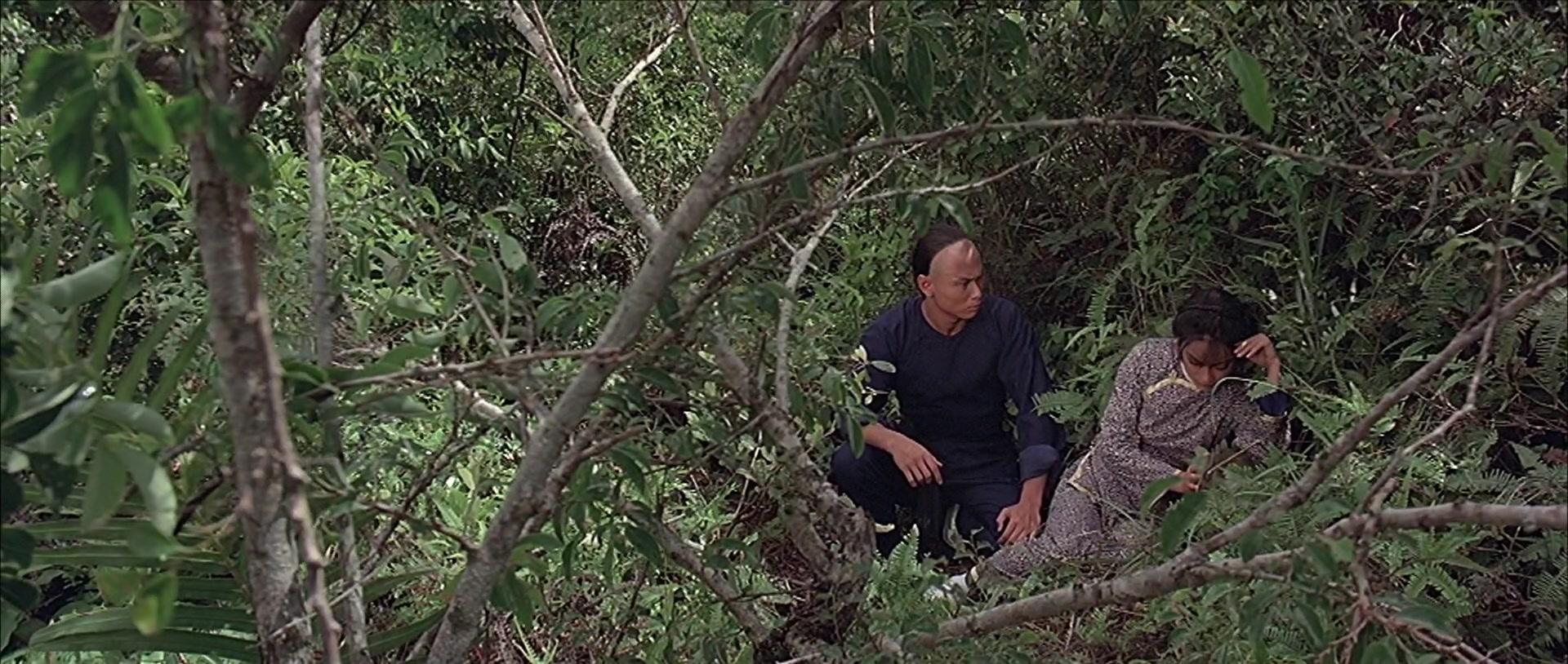 Фильм Клан Белого лотоса (1980)
