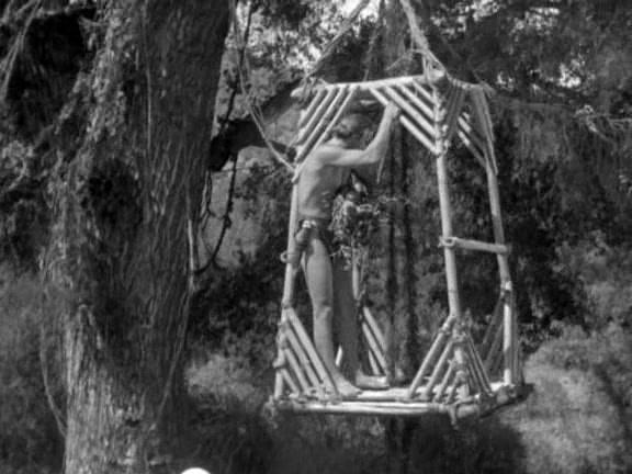 Фильм Спасение Тарзана (1936)