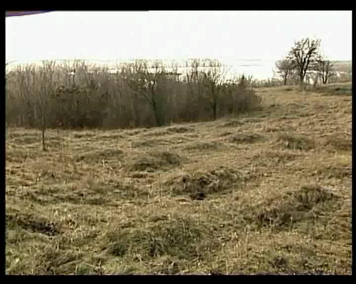 Фильм Советская история (2008)