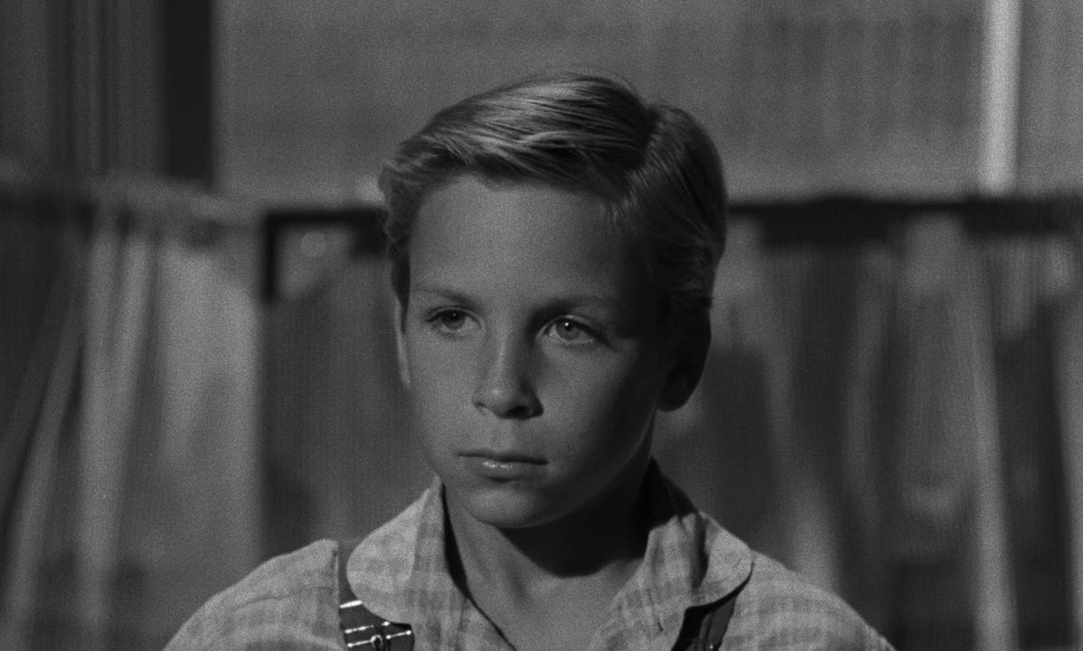 Фильм Ночь охотника (1955)