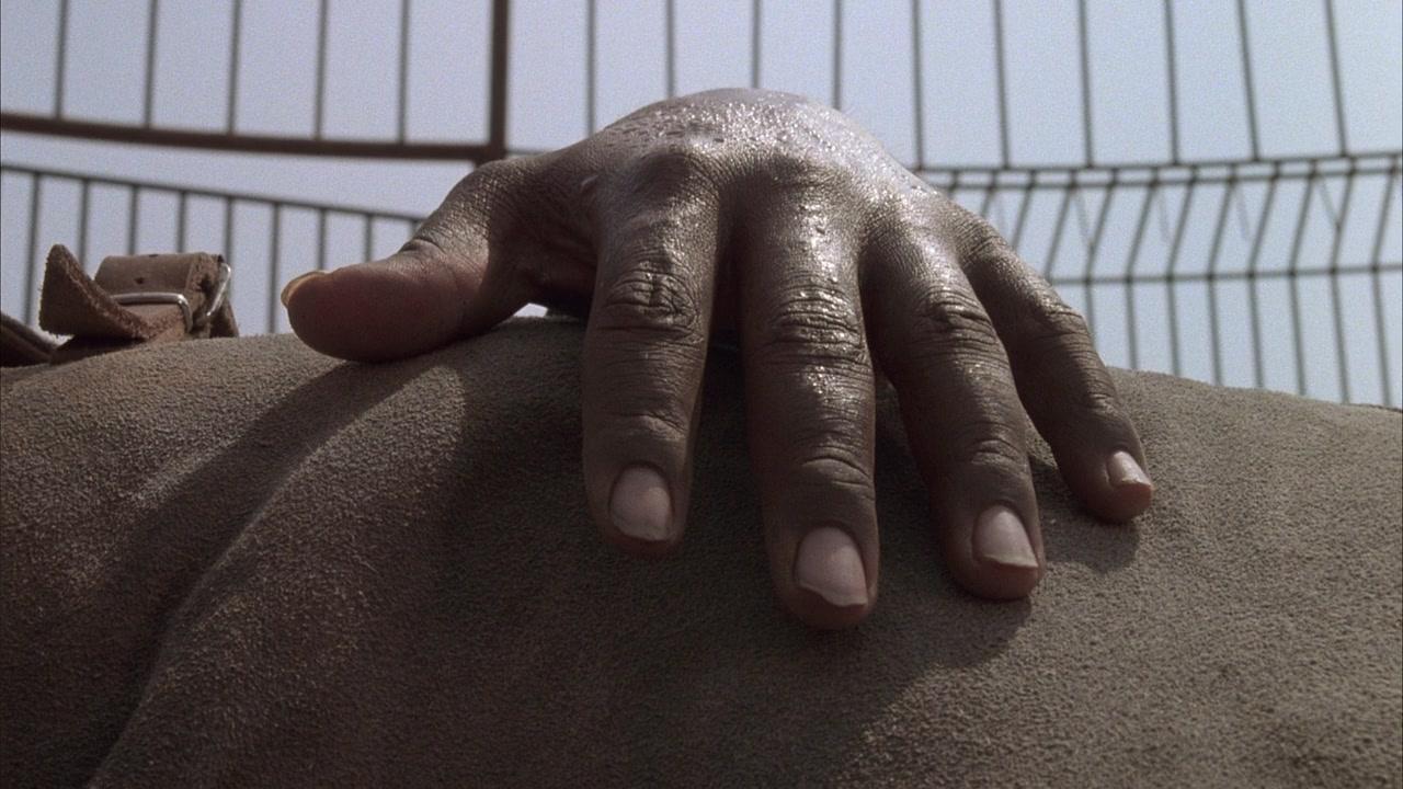 Фильм Белая собака (1982)