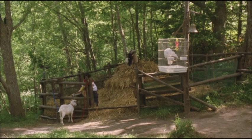 Фильм Лисичка Хэлен (2006)