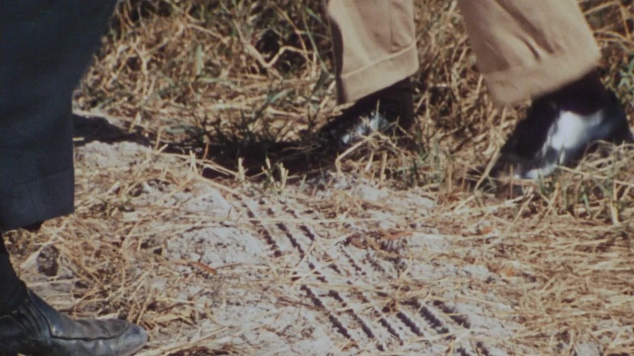 Фильм Две тысячи маньяков (1964)