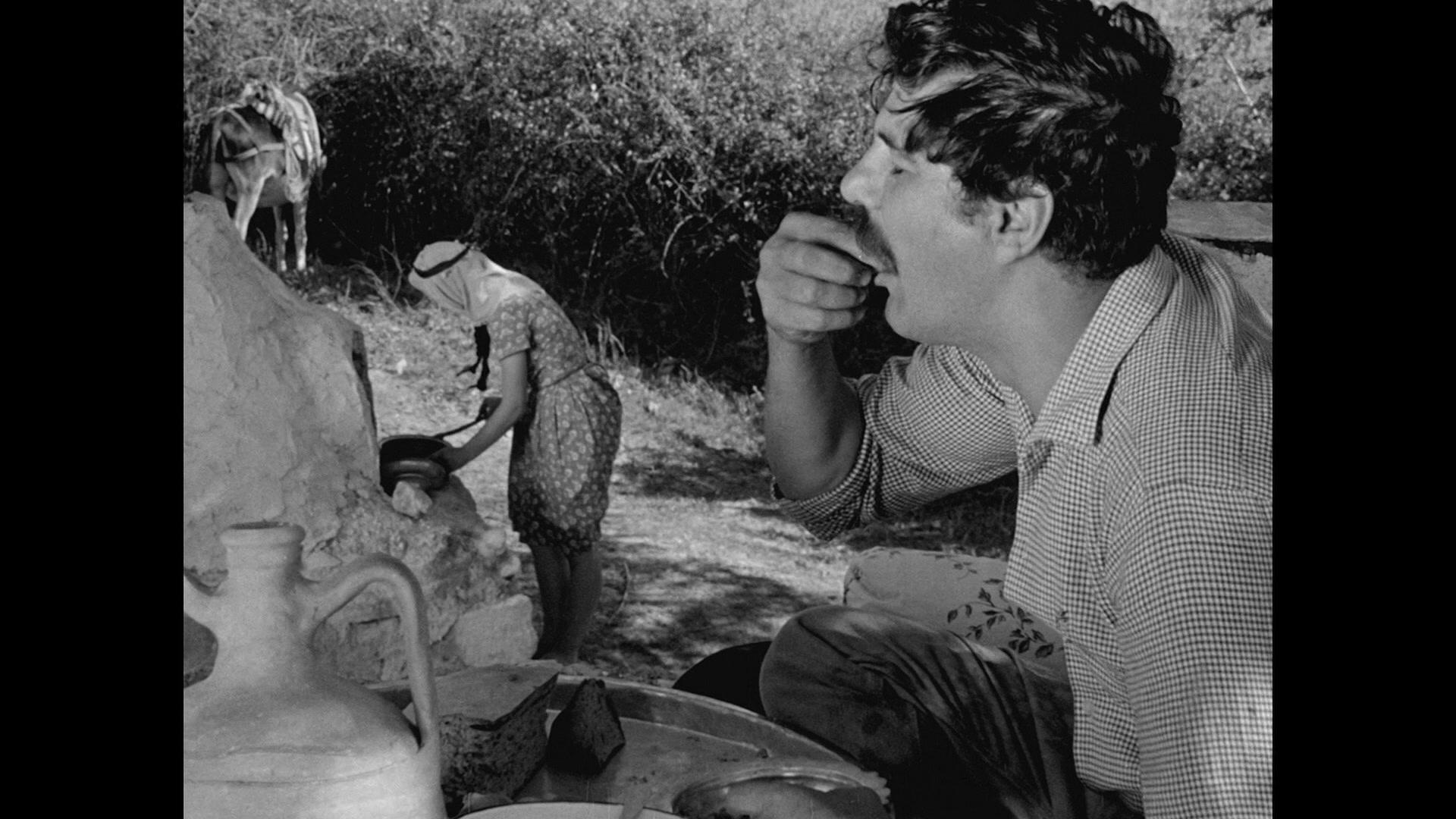Фильм Засушливое лето (1963)
