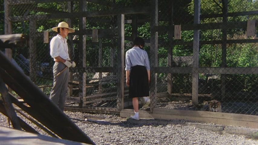 Фильм Антарктическая повесть (1983)