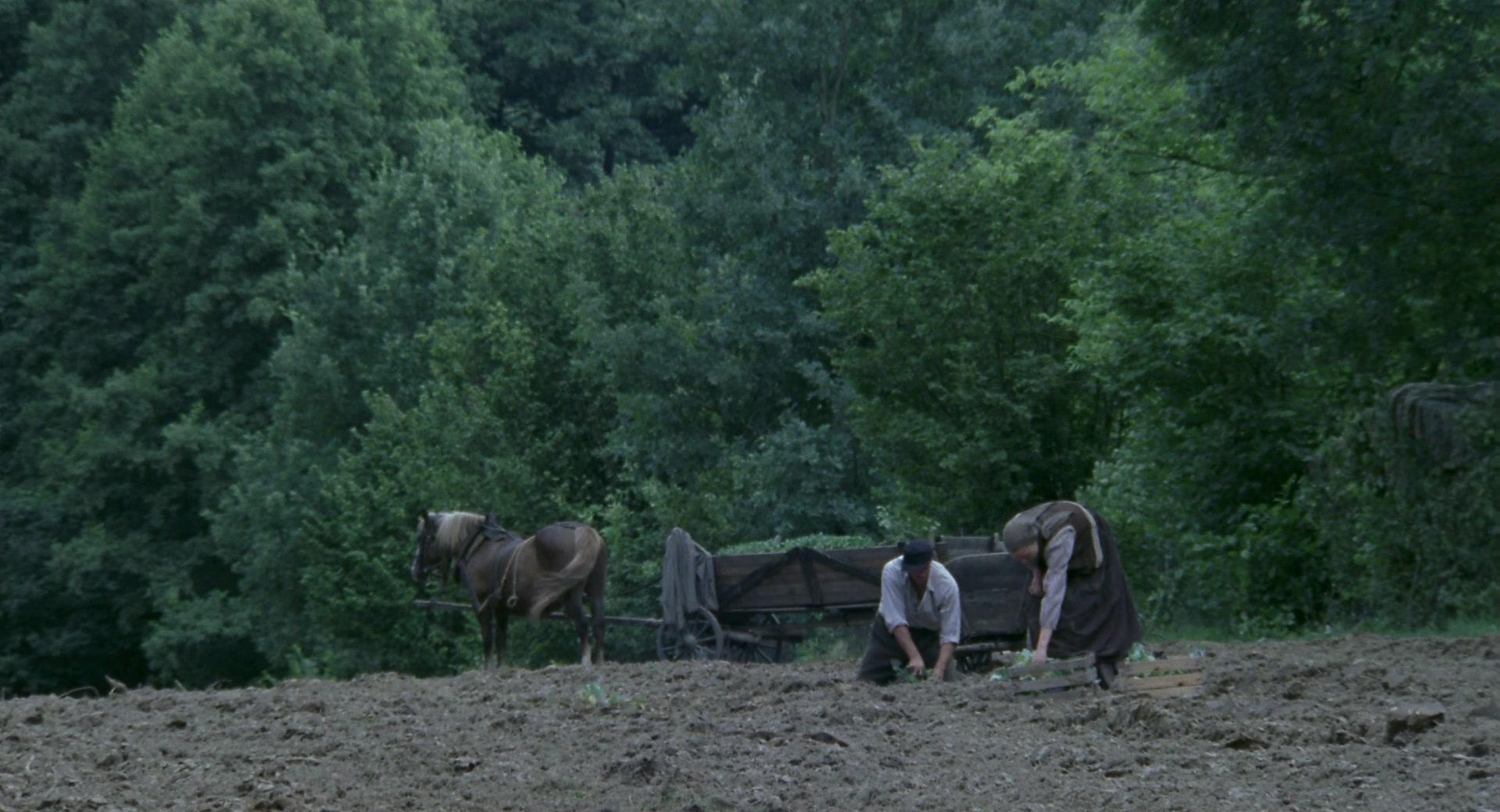 Фильм Весна 1941 (2007)