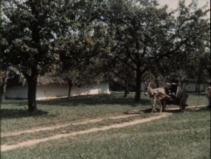 Фильм Волшебная бекеша (1973)