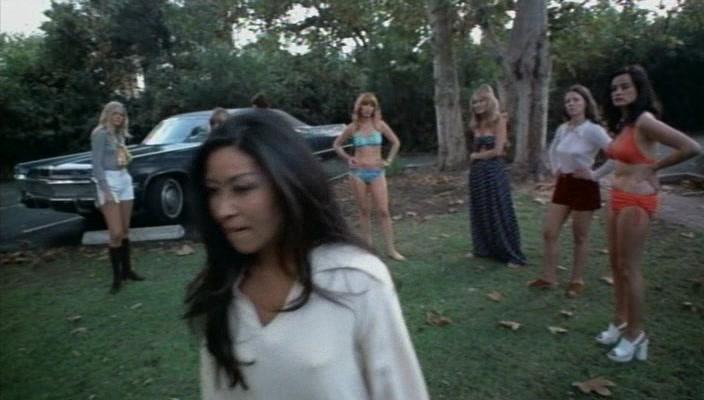 Фильм Женщины-полицейские (1974)