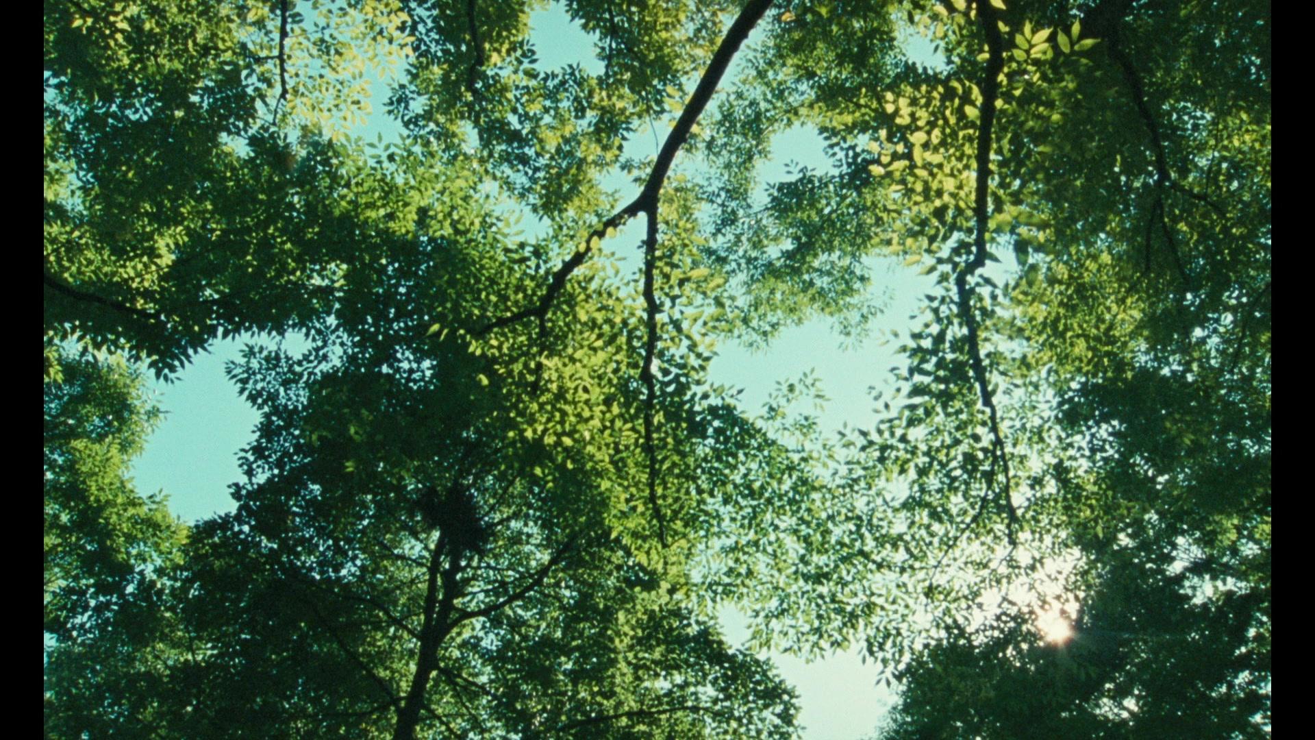 Фильм Никто не узнает (2003)