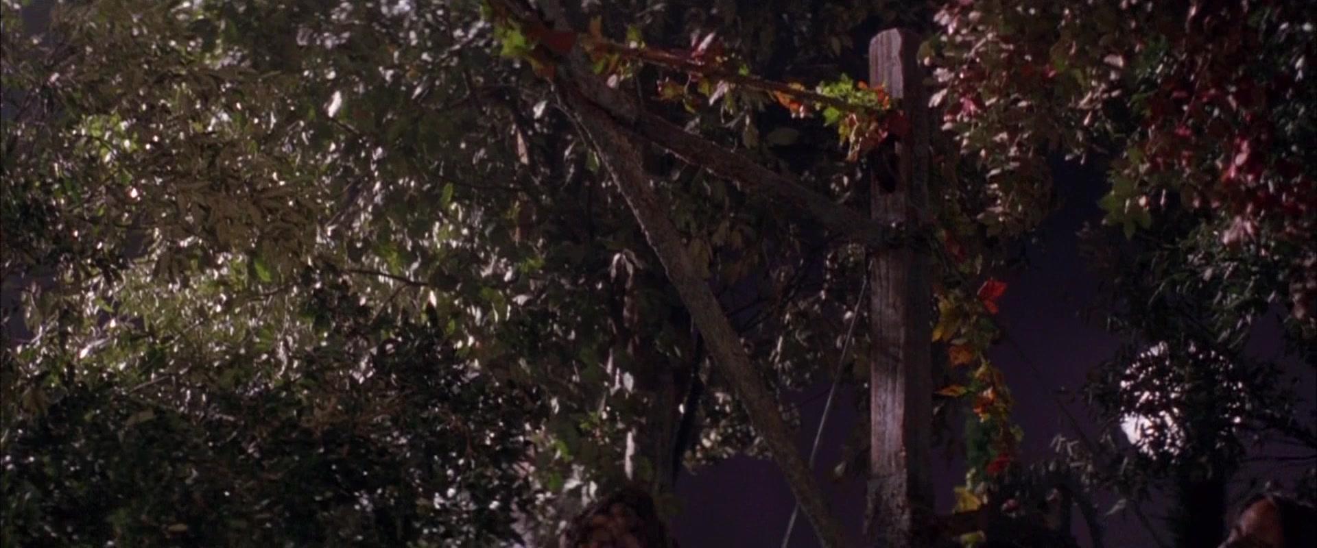 Фильм Сон в летнюю ночь (1999)