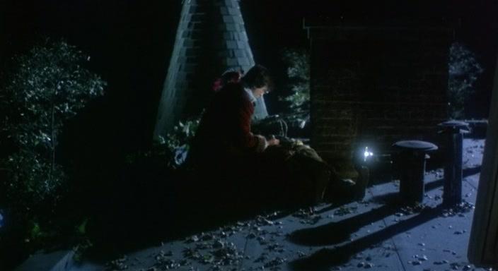 Фильм Адская ночь (1981)