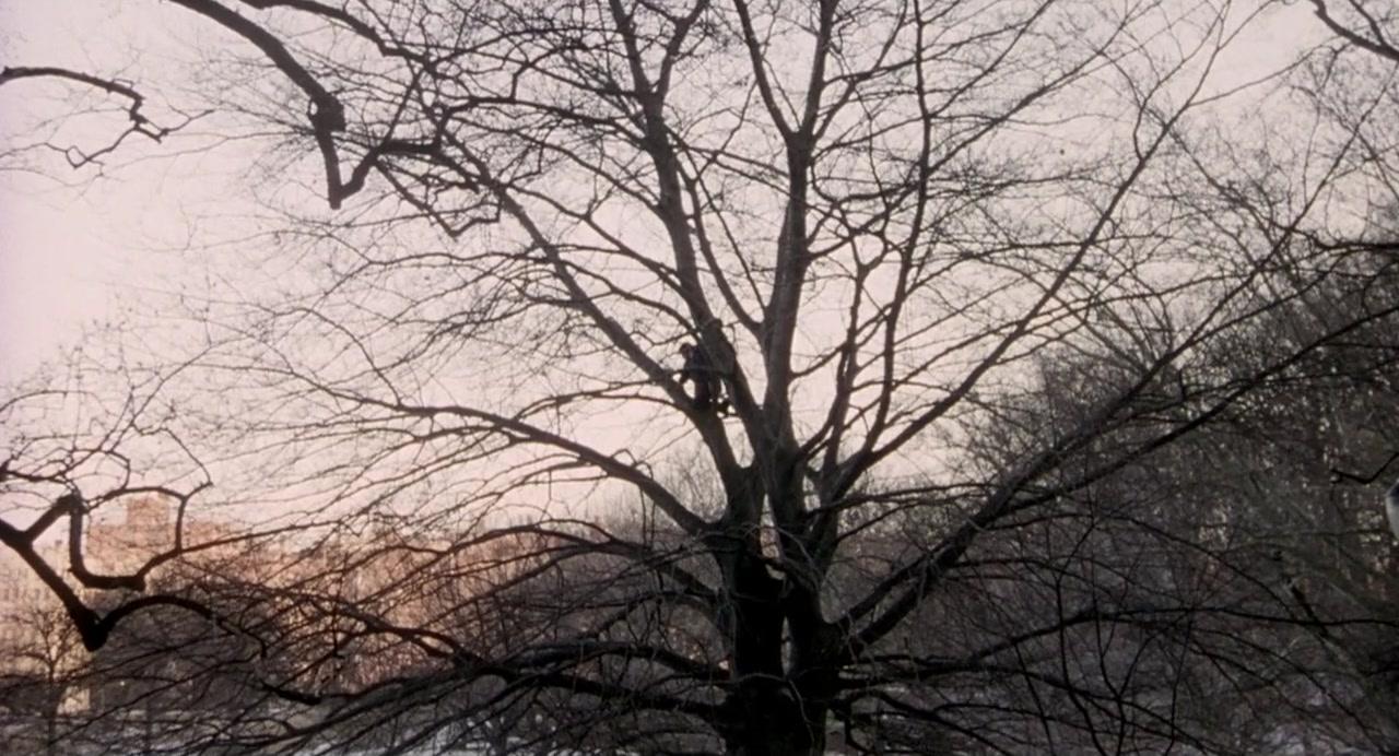 Фильм Рождение (2004)