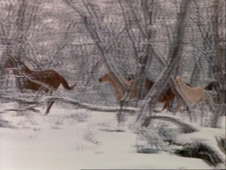 Фильм Серебряный ветер (1993)