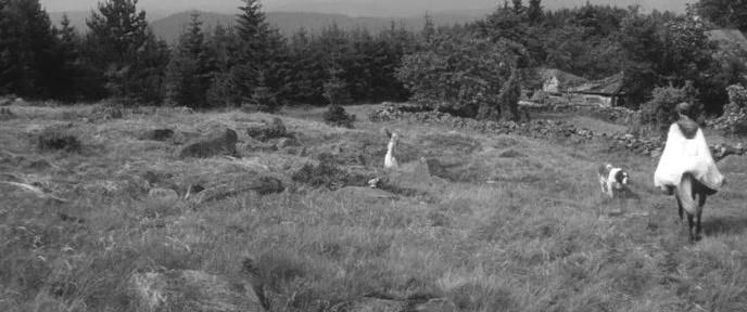 Фильм Долина пчел (1967)