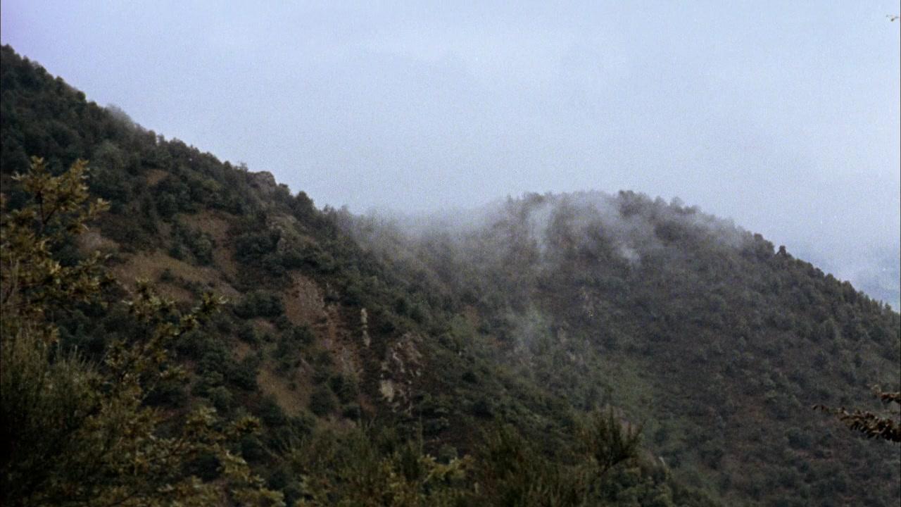 Фильм Дух улья (1973)